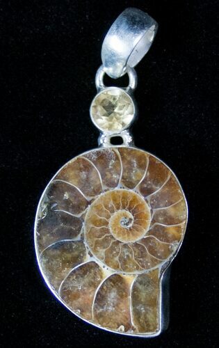 Fossil Ammonite Pendant - Sterling Silver #12823